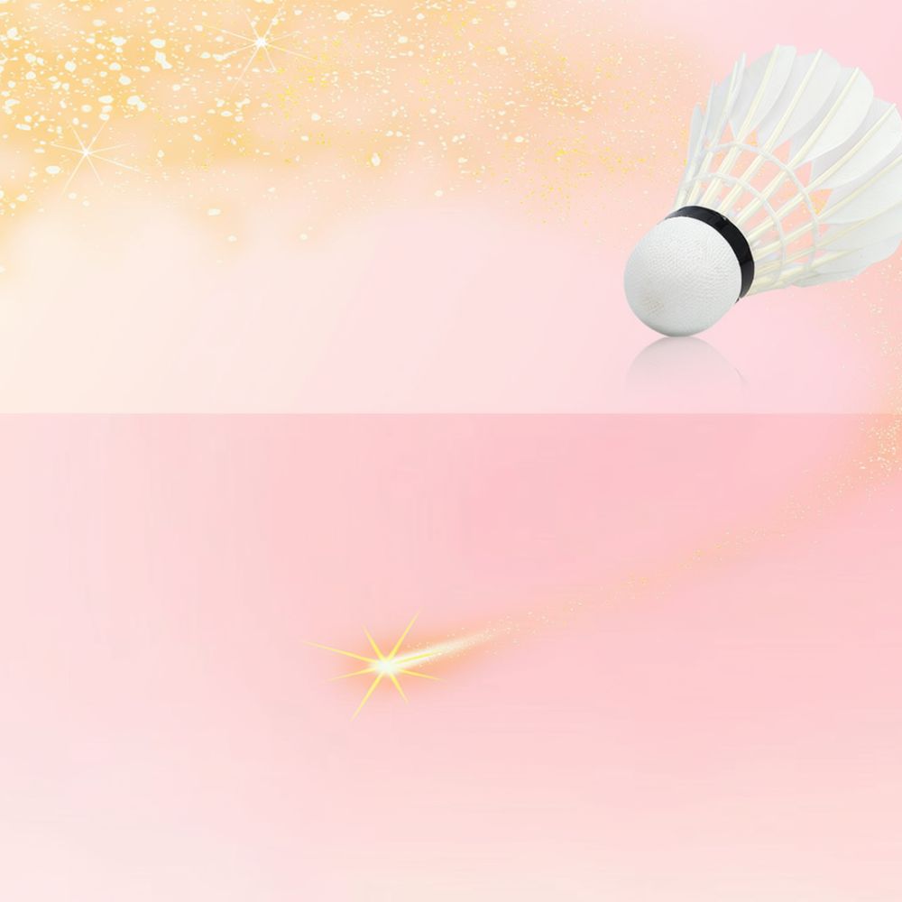 Sports Equipment In Flight - Gänsefeder-Badminton-Federball, hohe Haltbarkeit, stabiler Flug, Trainingsball