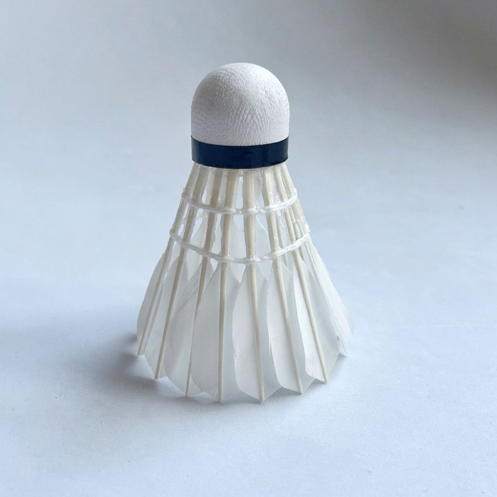 Gänsefeder-Badminton-Federball – Sports Equipment In Flight Bewertung und Preis